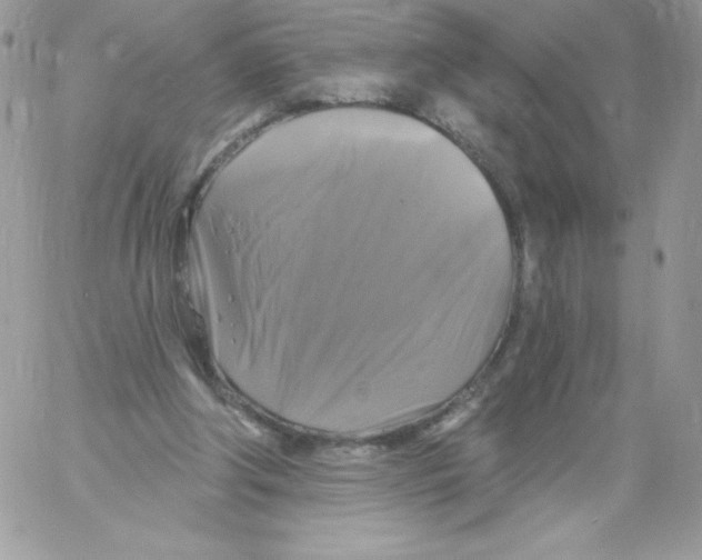 X0000061750202200512302246