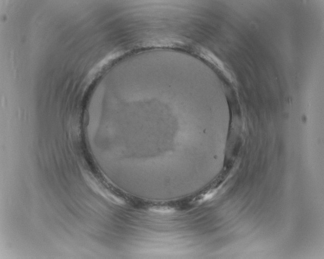 X0000061750203200512302246