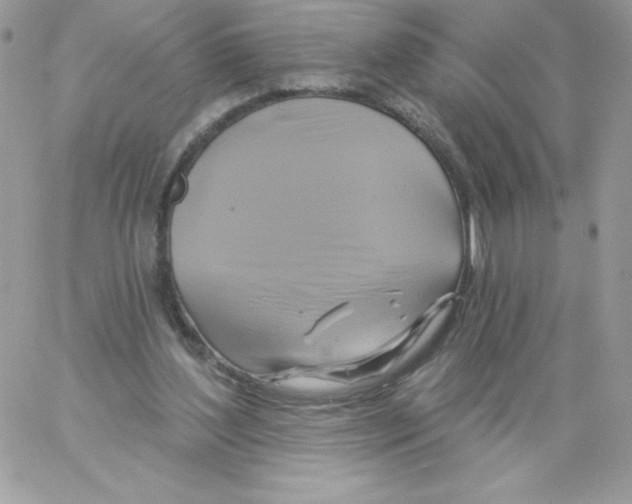 X0000061750204200512302246