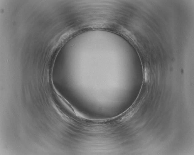 X0000061750205200512302246