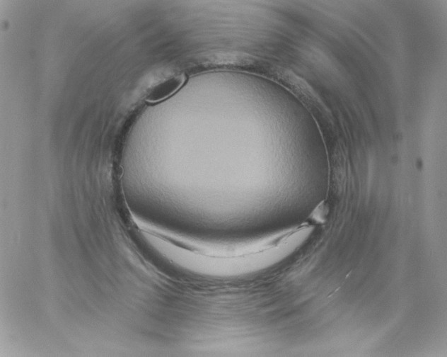 X0000061750207200512302246