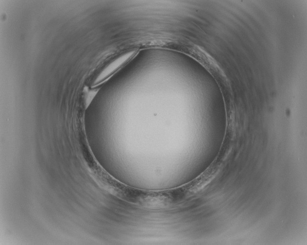 X0000061750209200512302246