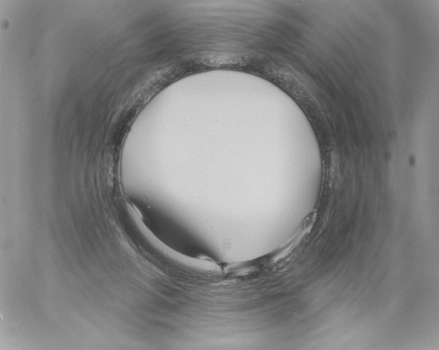 X0000061750210200512302246