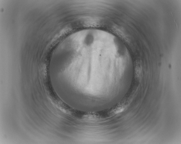 X0000061750211200512302246