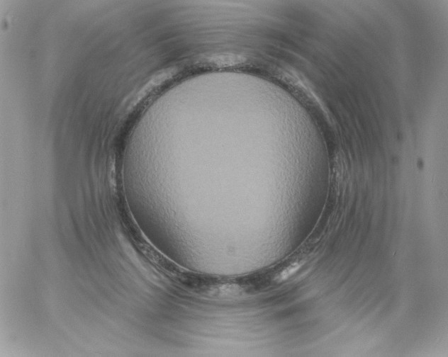 X0000061750212200512302246