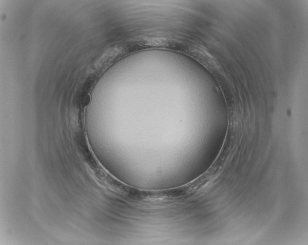 X0000061750213200512302246