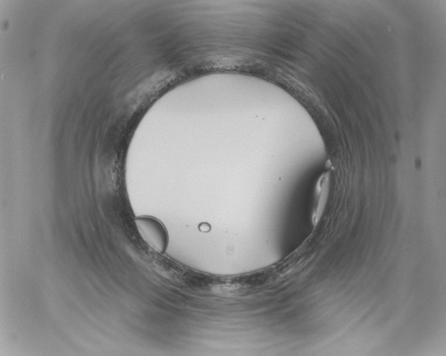 X0000061750216200512302246