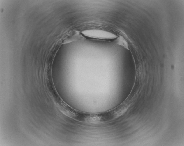 X0000061750217200512302246