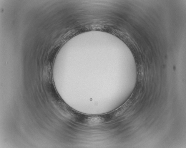 X0000061750218200512302246