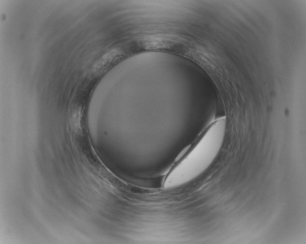 X0000061750219200512302246