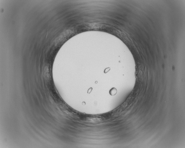 X0000061750220200512302246