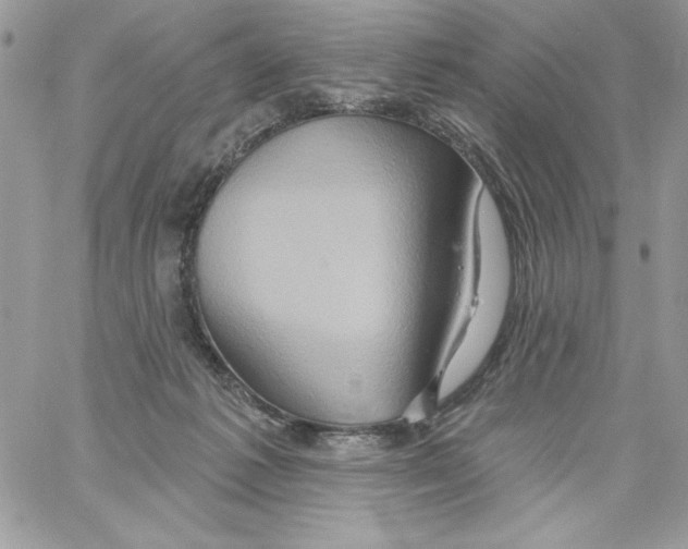 X0000061750221200512302246