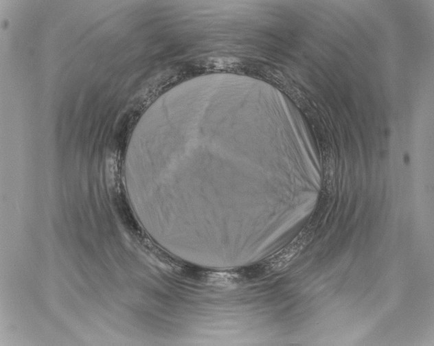 X0000061750222200512302246