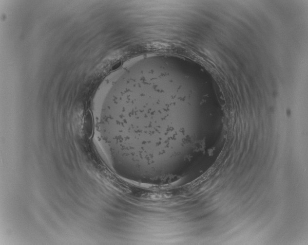 X0000061750223200512302246