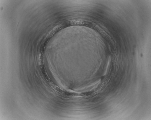 X0000061750224200512302246