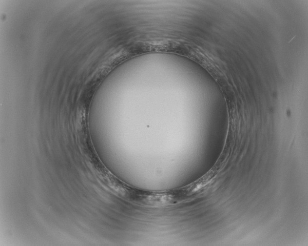 X0000061750225200512302246