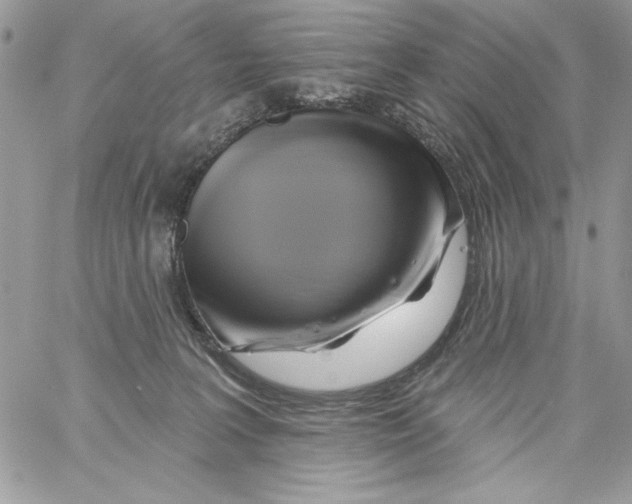 X0000061750227200512302246