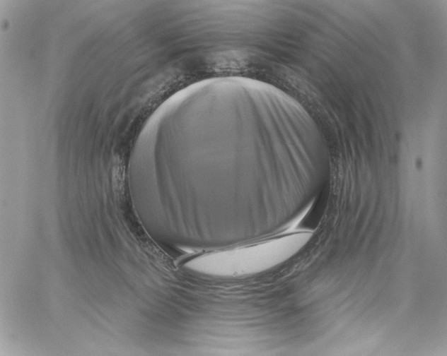 X0000061750228200512302246