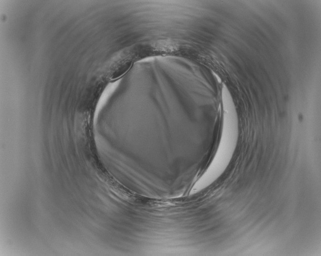 X0000061750229200512302246