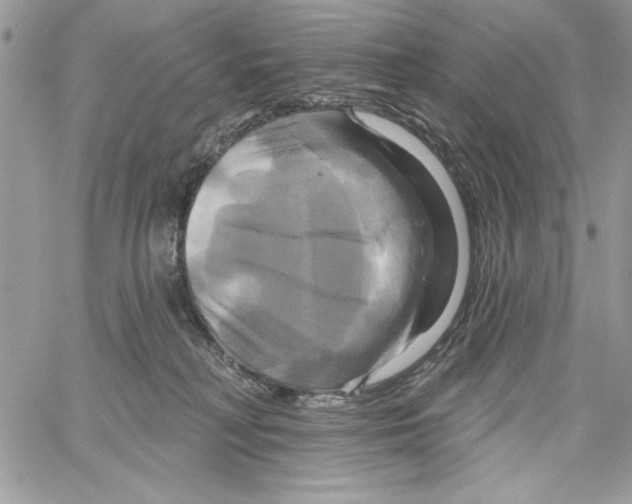 X0000061750230200512302246