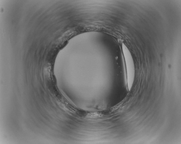 X0000061750231200512302246