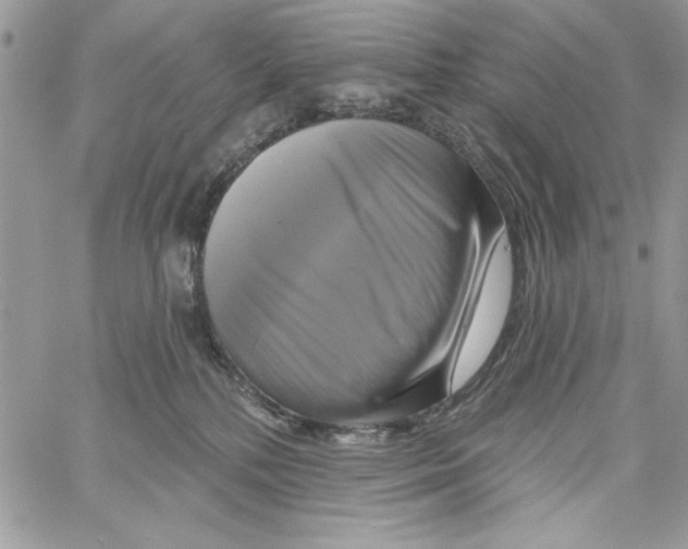 X0000061750232200512302246