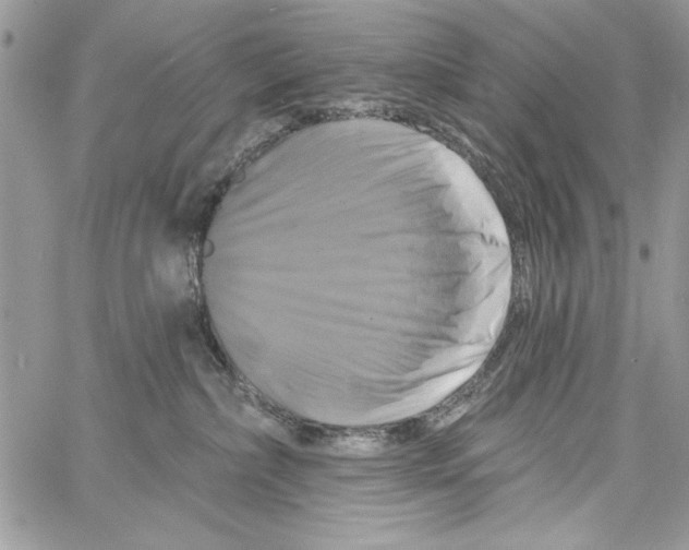 X0000061750236200512302246