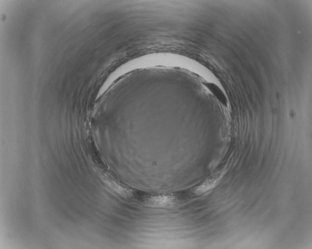 X0000061750237200512302246