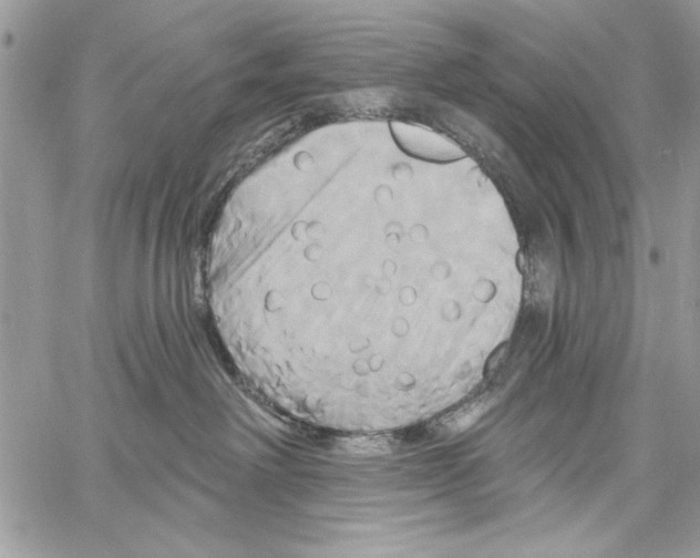 X0000061750238200512302246