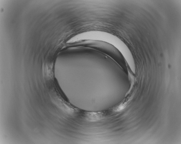 X0000061750239200512302246