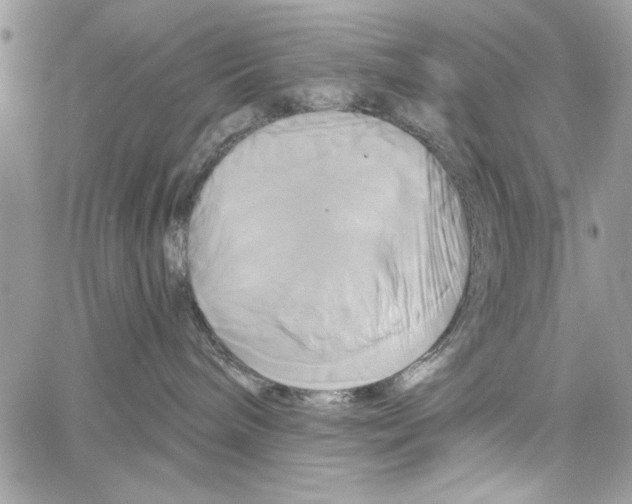 X0000061750240200512302246