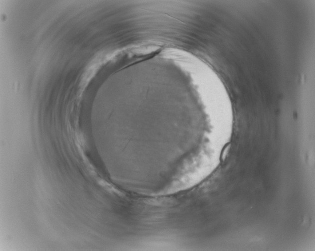 X0000061750241200512302245