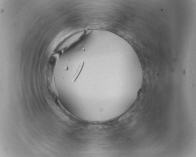 X0000061750242200512302245