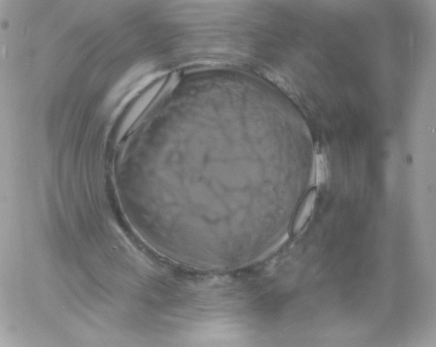 X0000061750243200512302245