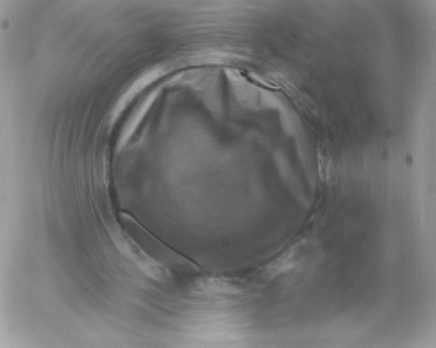 X0000061750244200512302245