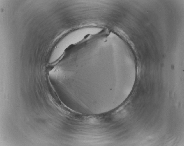 X0000061750249200512302245