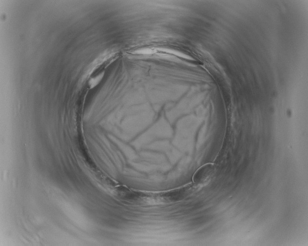 X0000061750250200512302245