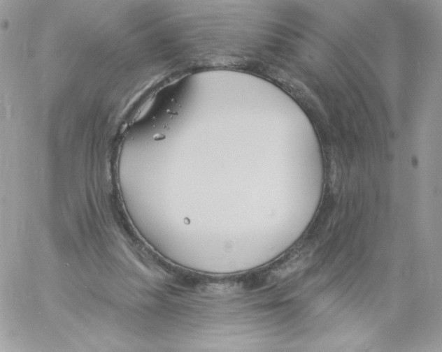 X0000061750251200512302245