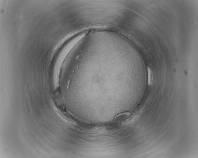 X0000061750252200512302245