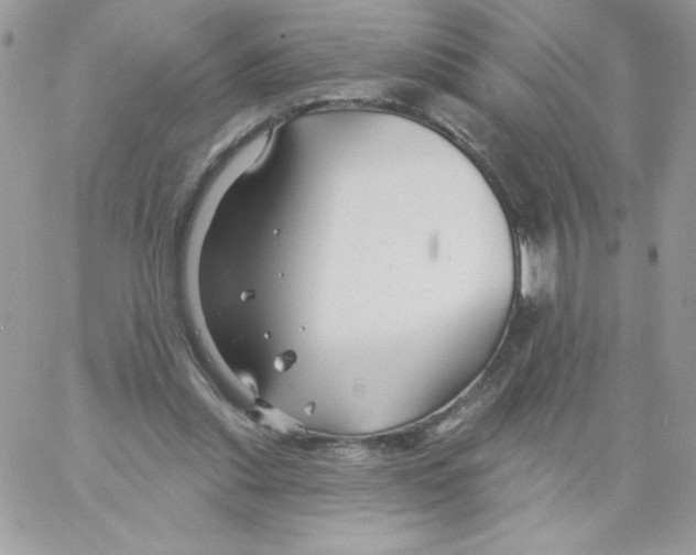 X0000061750253200512302245