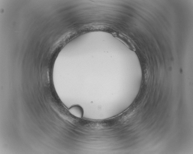 X0000061750254200512302245