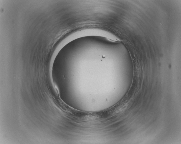 X0000061750255200512302245