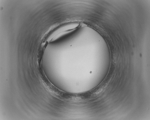 X0000061750256200512302245