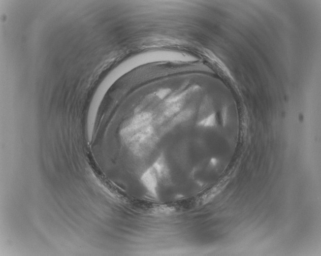 X0000061750257200512302245