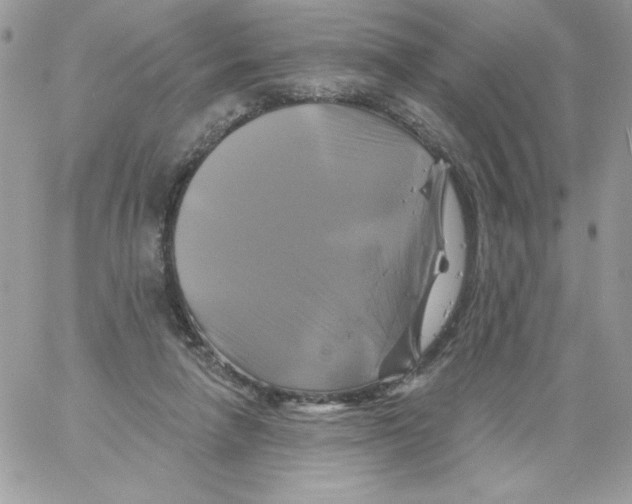 X0000061750258200512302245