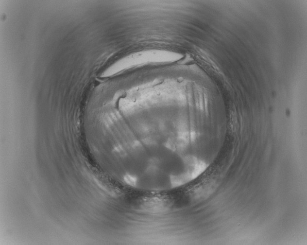 X0000061750259200512302245