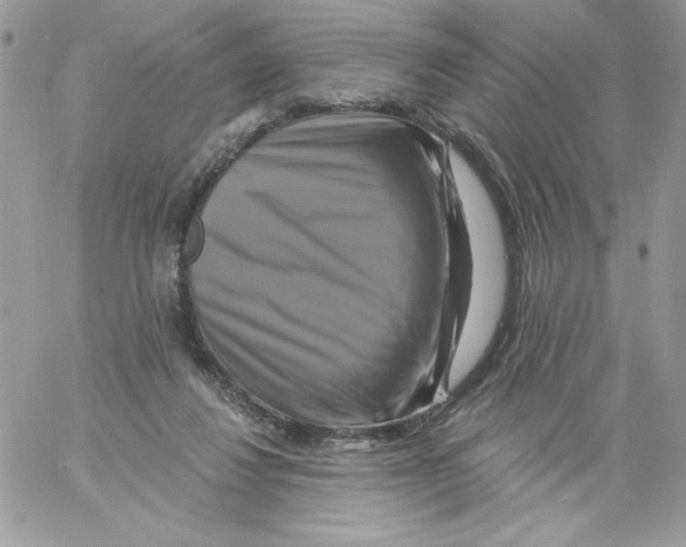 X0000061750260200512302245