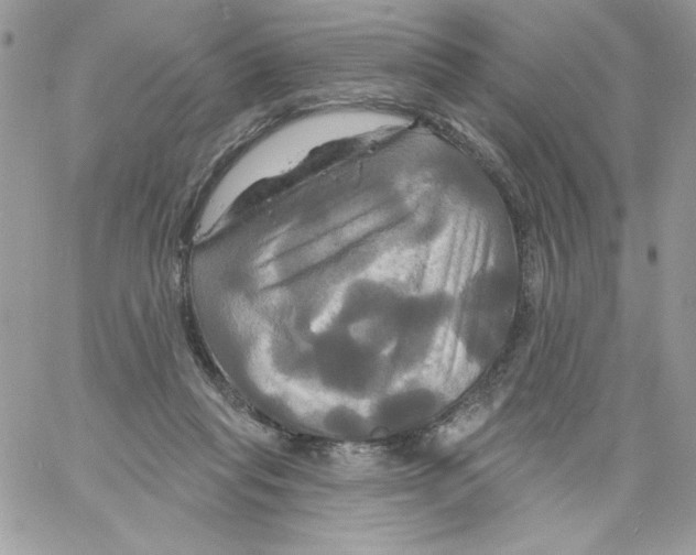 X0000061750261200512302245