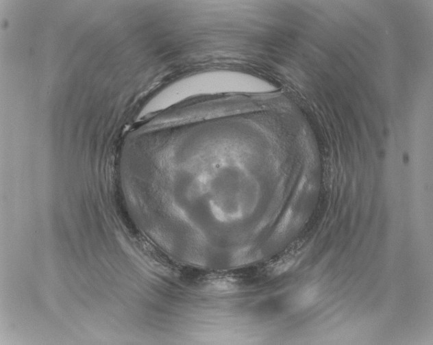 X0000061750263200512302245