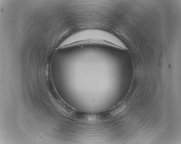 X0000061750264200512302245